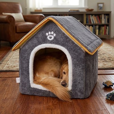 Maison pour chien | Confortable et Résistante - Le Chihuahua Voyageur