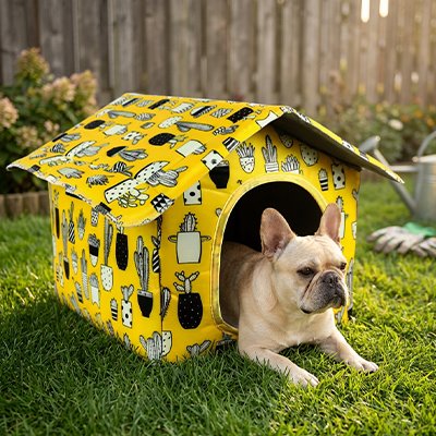 Maison pour chien 