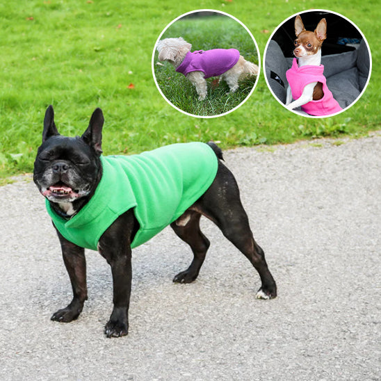 mantean-pour-chien-couleur