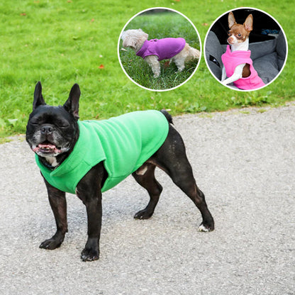 mantean-pour-chien-couleur
