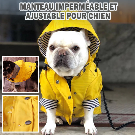 mantean-pour-chien-elegant