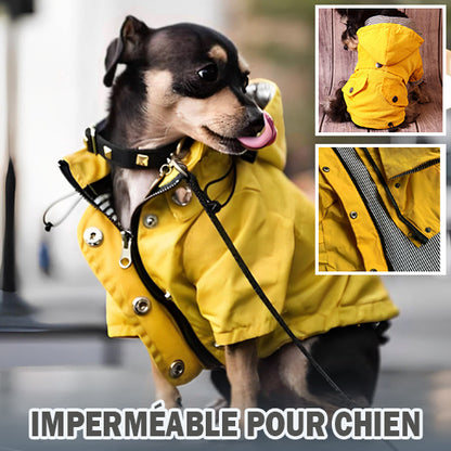 mantean-pour-chien-jaune