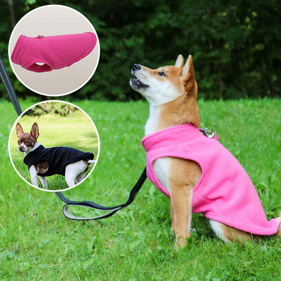 mantean-pour-chien-parfait