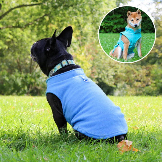 mantean-pour-chien-polaire