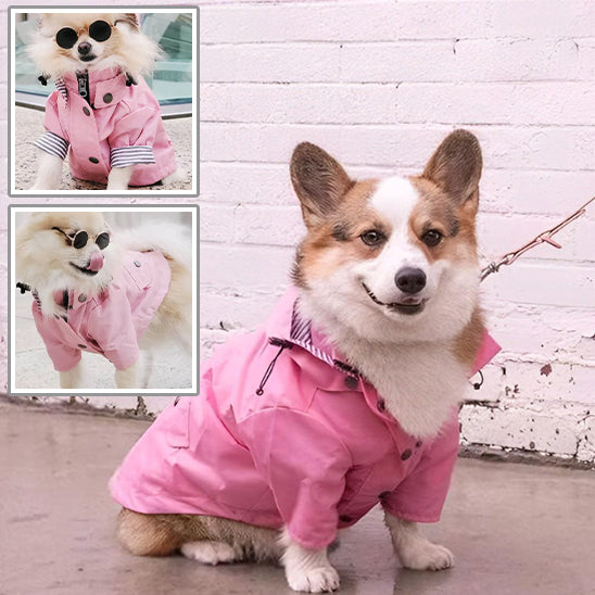 mantean-pour-chien-rose