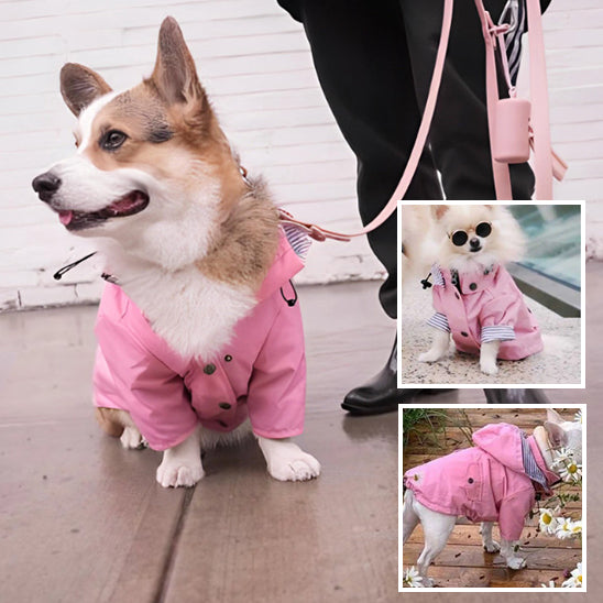 mantean-pour-chien-tout-aller