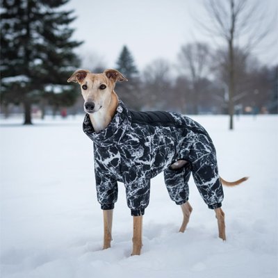 Manteau chien imperméable et chaud | WinterPaws - Le Chihuahua Voyageur