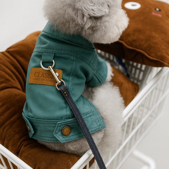 Manteau chien
