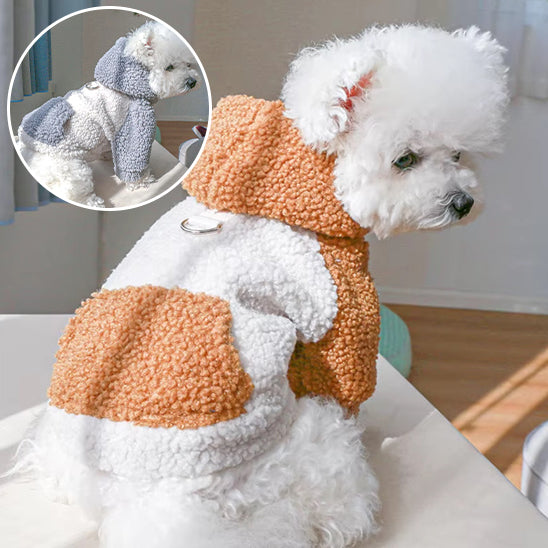 Manteau pour chien- Capi- berbère
