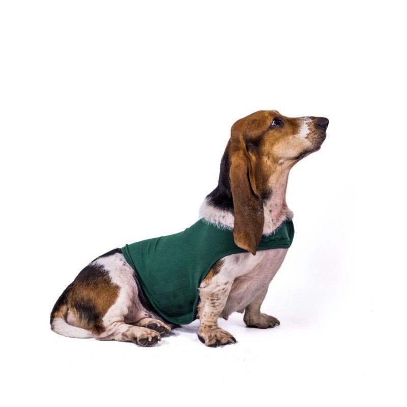 Manteau pour chien - Chandail apaisant - Le Chihuahua Voyageur
