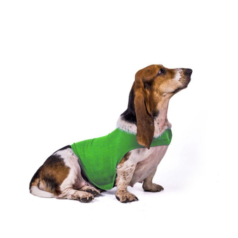 Manteau pour chien - Chandail apaisant - Le Chihuahua Voyageur