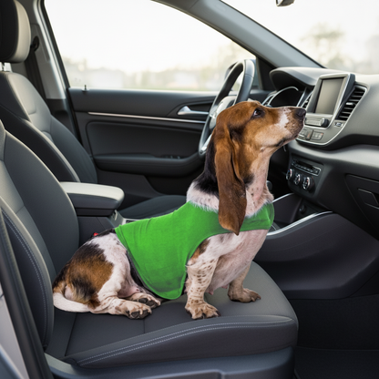 Un Pull pour chien- Chandail apaisant