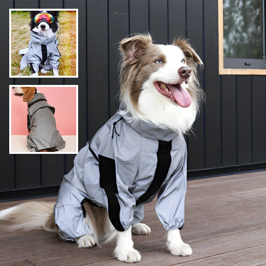 Manteau chien -Reflex sécure