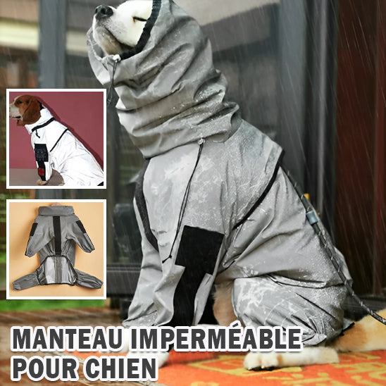 Manteau chien -Reflex sécure