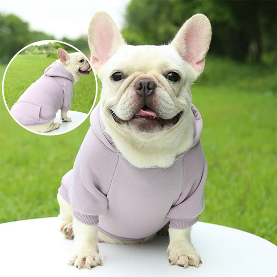 manteau-pour-chien-gris
