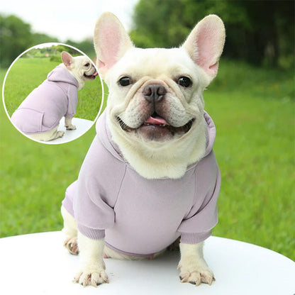 manteau-pour-chien-gris
