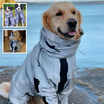 Manteau chien -Reflex sécure