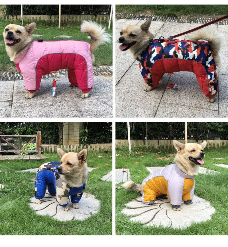 manteau pour chien hot