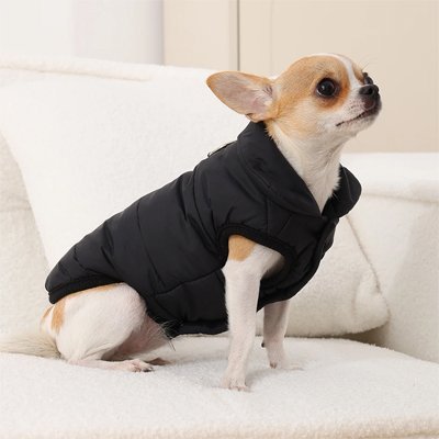 Manteau pour Chien Imperméable | WarmProtect - Le Chihuahua Voyageur