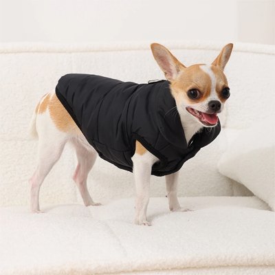 Manteau pour Chien Imperméable | WarmProtect - Le Chihuahua Voyageur