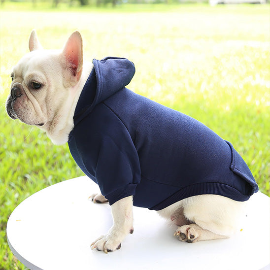 manteau-pour-chien-marin