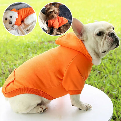 manteau-pour-chien-orange