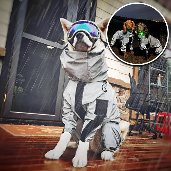 Manteau chien -Reflex sécure