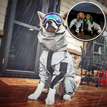 Manteau chien -Reflex sécure