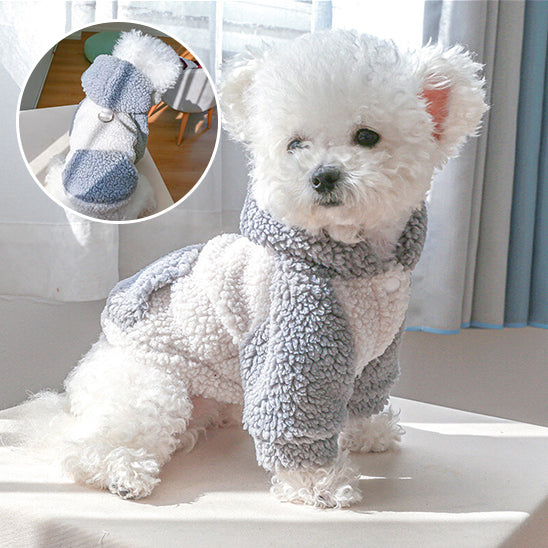 Manteau pour chien- Capi- berbère