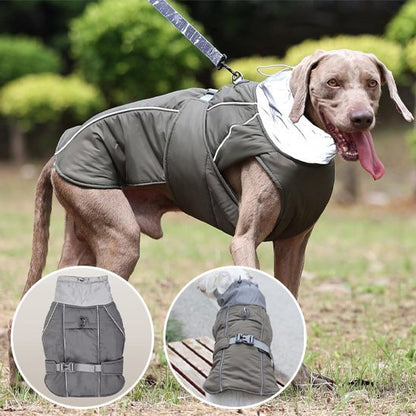 Manteau pour chien | Winter Shield - Le Chihuahua Voyageur