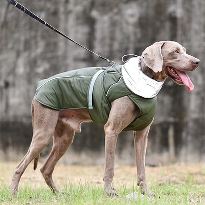 Manteau pour chien | Winter Shield - Le Chihuahua Voyageur