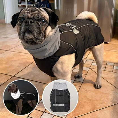 Manteau pour chien | Winter Shield - Le Chihuahua Voyageur