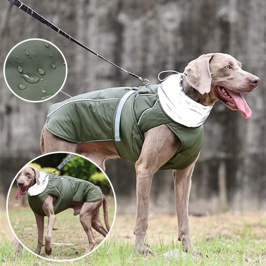 Manteau pour chien | Winter Shield - Le Chihuahua Voyageur