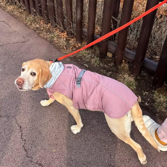 Manteau pour chien | Winter Shield - Le Chihuahua Voyageur