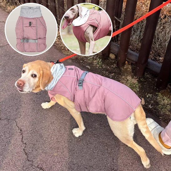 Manteau pour chien | Winter Shield - Le Chihuahua Voyageur
