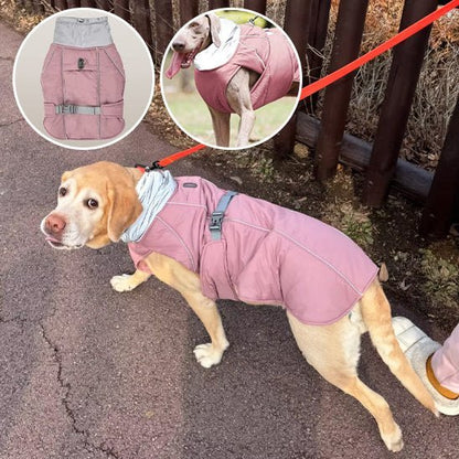 Manteau pour chien | Winter Shield - Le Chihuahua Voyageur
