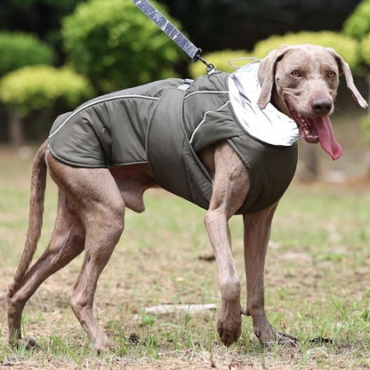 Manteau pour chien | Winter Shield - Le Chihuahua Voyageur