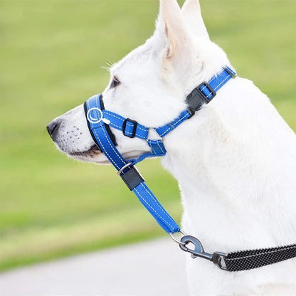 Muselière chien | Confort Sécurité - Le Chihuahua Voyageur