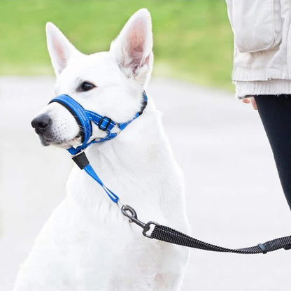 Muselière chien | Confort Sécurité - Le Chihuahua Voyageur