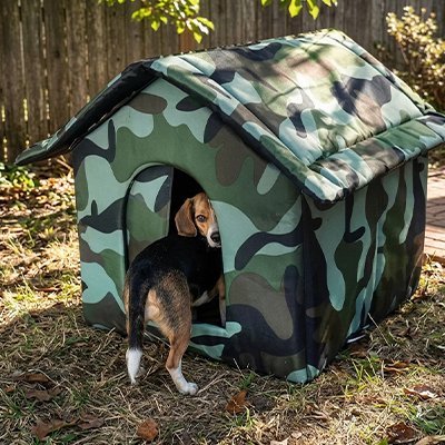 Niche Chien exterieur | Résistante Intempéries - Le Chihuahua Voyageur