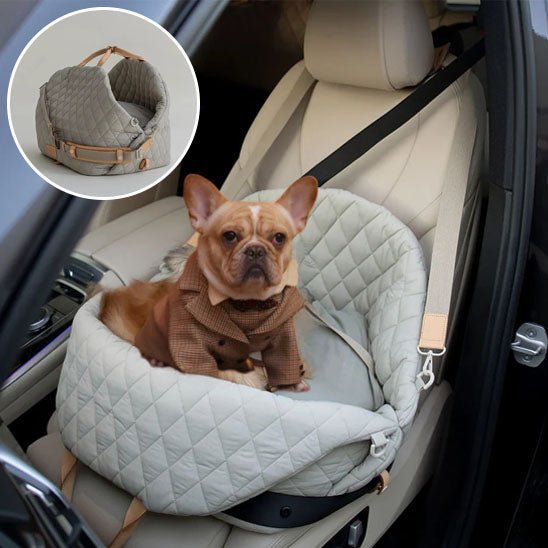 panier chien - adaptatif - Le Chihuahua Voyageur