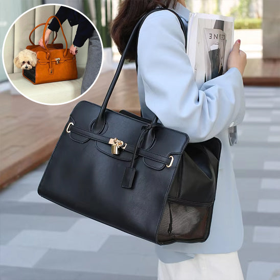 panier chien luxueux