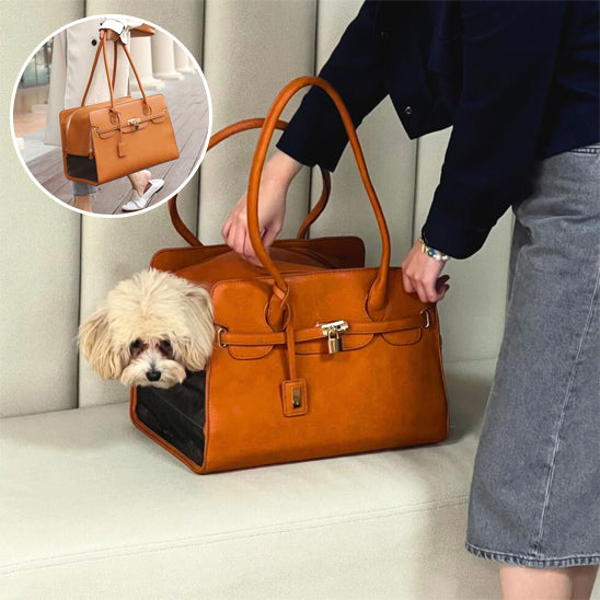 panier chien transporteur luxueux