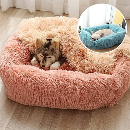 Panier pour chien - Le nuageux - Le Chihuahua Voyageur