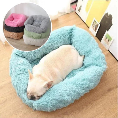 Panier pour chien - Le nuageux - Le Chihuahua Voyageur