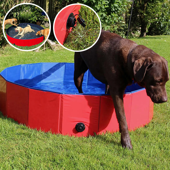 piscine-pour-chien-pliable