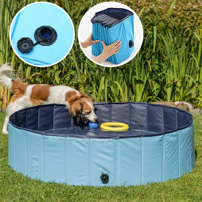 piscine-pour-chien-pratique
