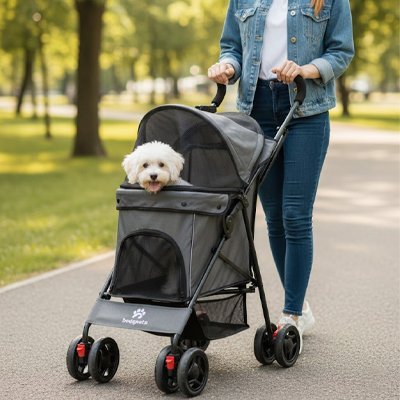 Poussette Chien | Mobilité Confort - Le Chihuahua Voyageur
