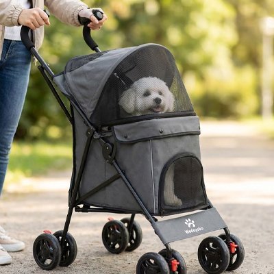 Poussette Chien | Mobilité Confort - Le Chihuahua Voyageur