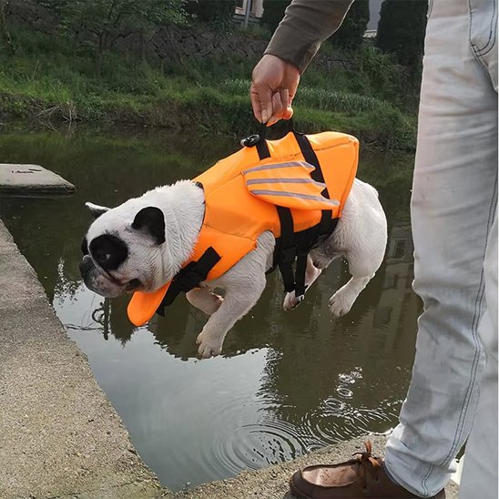 Gilet de sauvetage chien | UltraFlottant